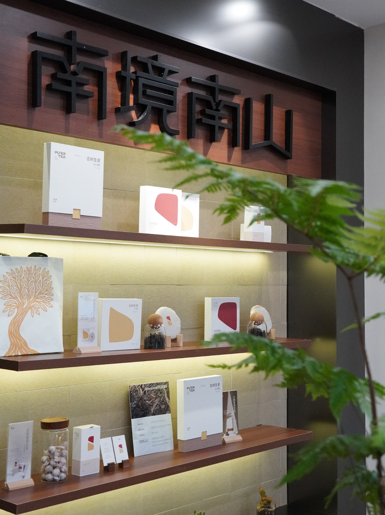 Store Interior Details